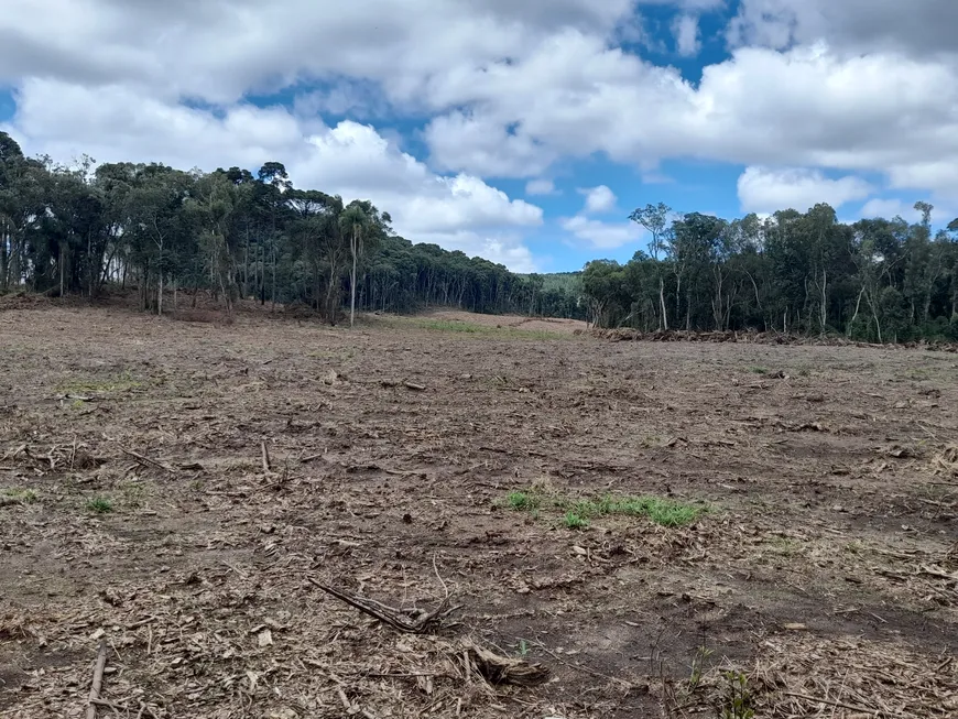 Foto 1 de Fazenda/Sítio à venda, 196000m² em Centro, Campo do Tenente