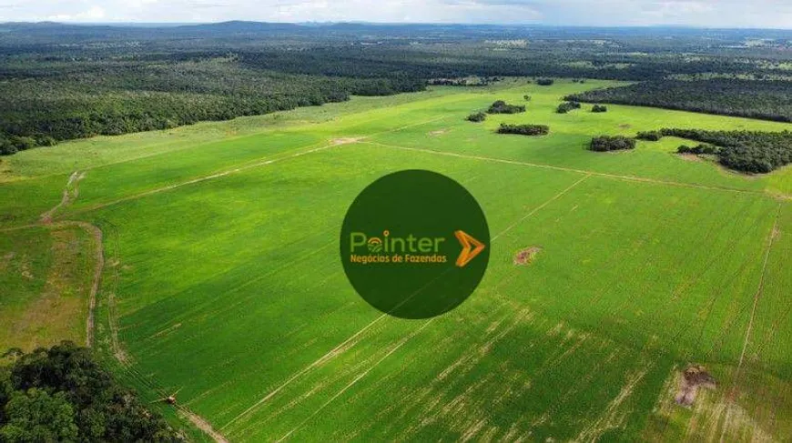 Foto 1 de Fazenda/Sítio à venda, 7000000m² em Setor Central, Gurupi