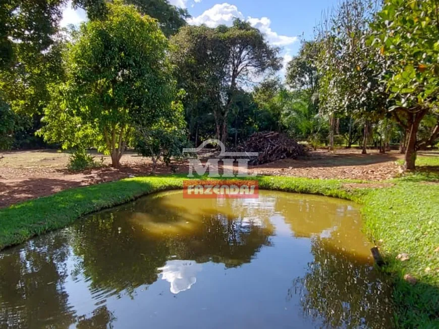 Foto 1 de Fazenda/Sítio com 3 Quartos à venda, 243m² em Zona Rural, Brazabrantes