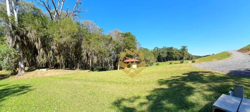 Foto 1 de Fazenda/Sítio com 1 Quarto à venda, 30m² em Butiatuva, Campo Largo