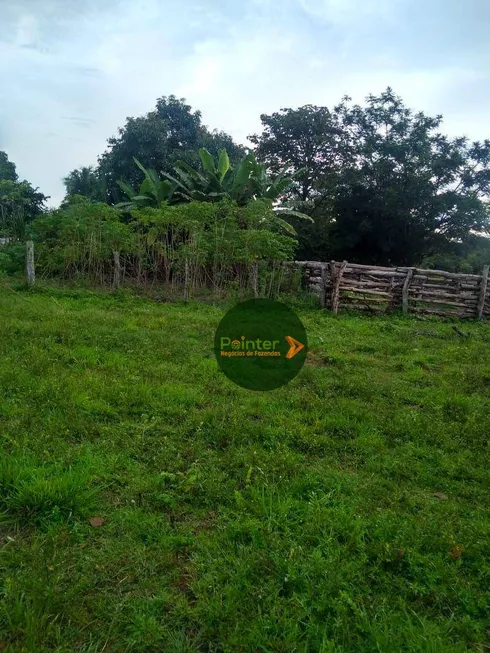 Foto 1 de Fazenda/Sítio com 3 Quartos à venda, 5178800m² em Zona Rural, Natividade