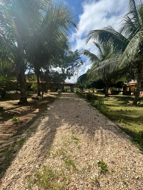 Foto 1 de Fazenda/Sítio com 3 Quartos à venda, 23200m² em Centro, Imperatriz