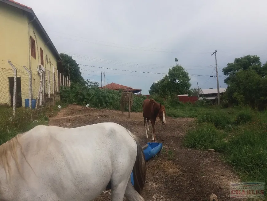 Foto 1 de Fazenda/Sítio à venda, 10m² em Chácaras Sol Nascente, Mogi Mirim