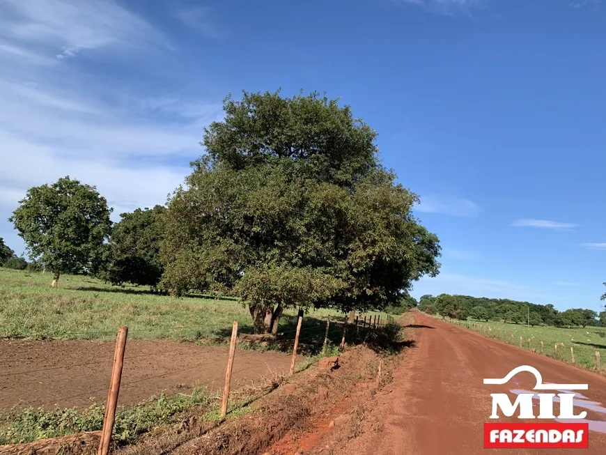 Foto 1 de Fazenda/Sítio à venda, 3388000m² em Centro, Jussara