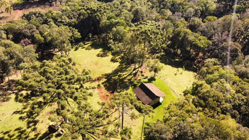 Foto 1 de Fazenda/Sítio com 1 Quarto à venda, 22000m² em Linha Imperial, Nova Petrópolis