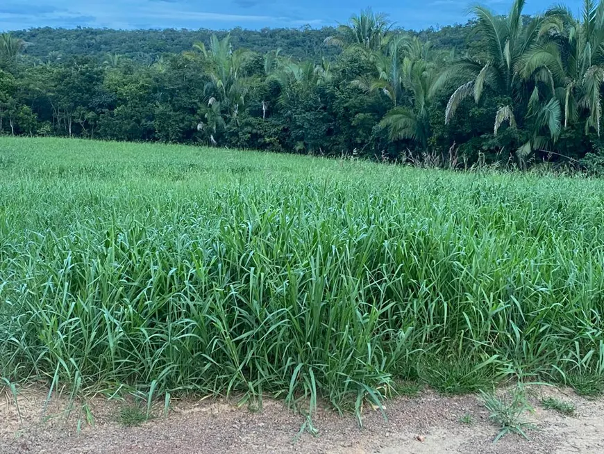 Foto 1 de Fazenda/Sítio à venda em Fronteira, Santo Antônio do Leverger