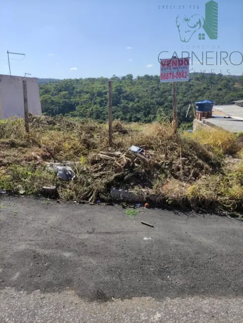 Foto 1 de Lote/Terreno à venda, 250m² em Campos Silveira, Ribeirão das Neves