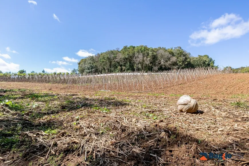 Foto 1 de Fazenda/Sítio com 1 Quarto à venda, 56643m² em Ferraria, Campo Largo