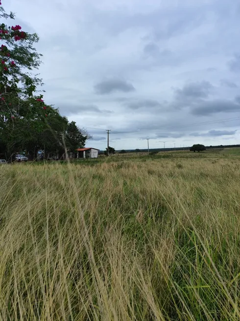 Foto 1 de Fazenda/Sítio com 4 Quartos à venda, 950m² em Centro, Senador Elói de Souza