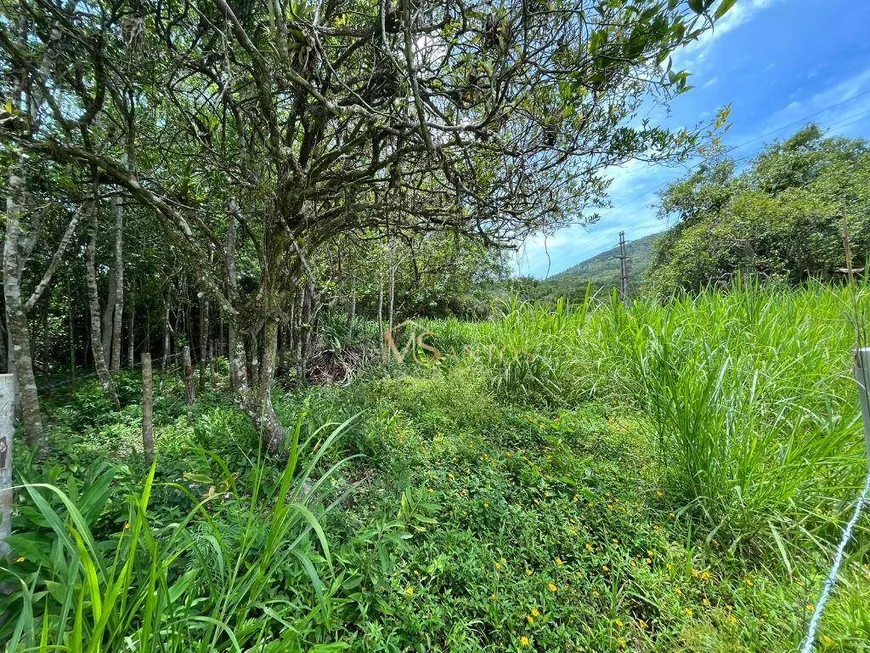 Foto 1 de Lote/Terreno à venda, 6394m² em Ratones, Florianópolis