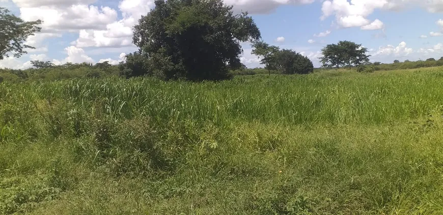 Foto 1 de Fazenda/Sítio com 3 Quartos à venda, 8300000m² em Santo Antonio, São Francisco