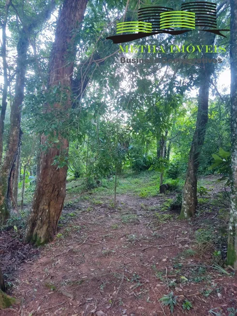 Foto 1 de Fazenda/Sítio com 2 Quartos à venda, 1775m² em , Piedade