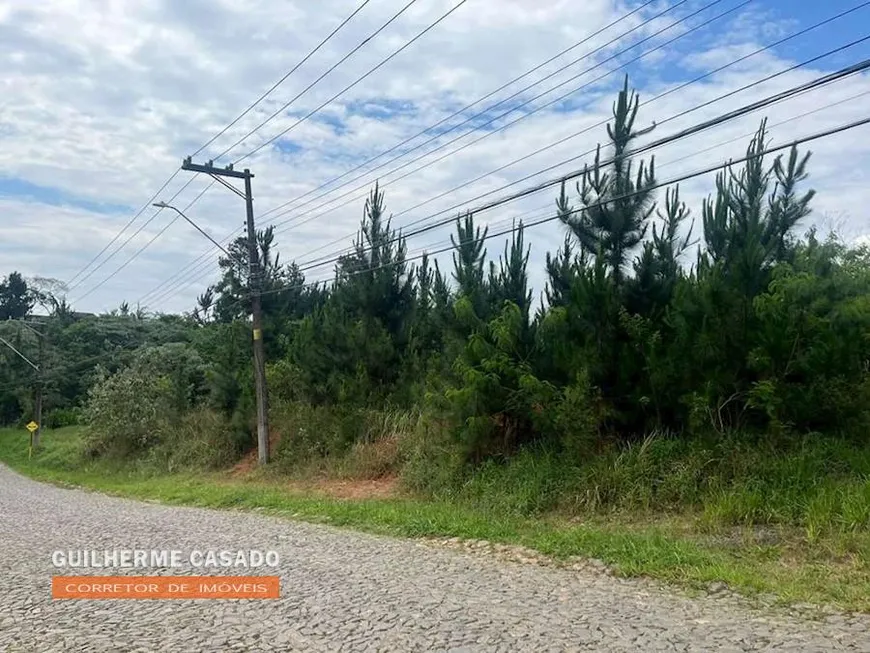 Foto 1 de Lote/Terreno à venda, 4973m² em Paisagem Renoir, Cotia