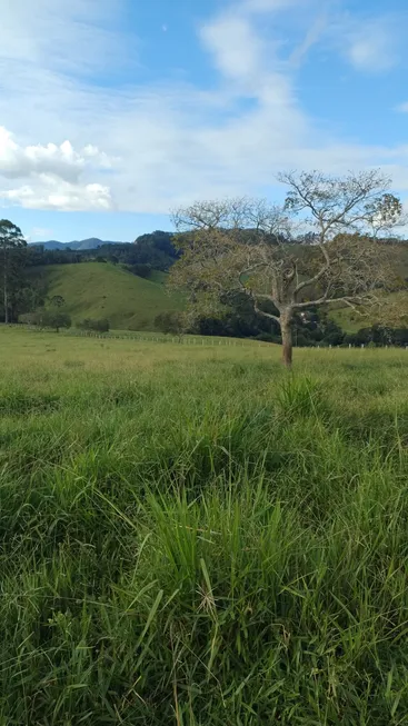 Foto 1 de Fazenda/Sítio à venda, 39m² em Zona Rural, Cristina