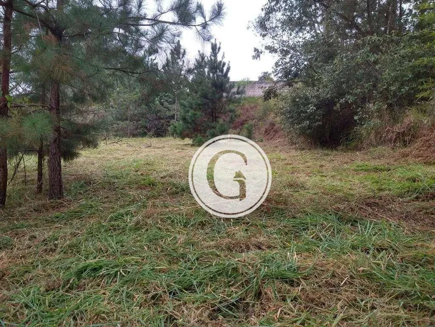 Foto 1 de Lote/Terreno à venda, 10321m² em Granja Viana, Cotia