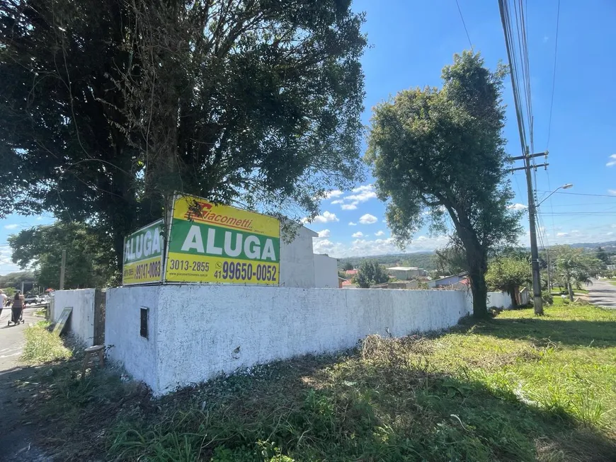 Foto 1 de Lote/Terreno para alugar, 536m² em Santa Felicidade, Curitiba