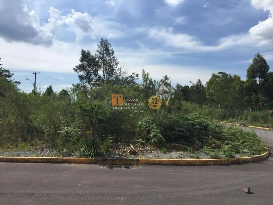 Foto 1 de Lote/Terreno à venda, 548m² em Sanvitto, Caxias do Sul