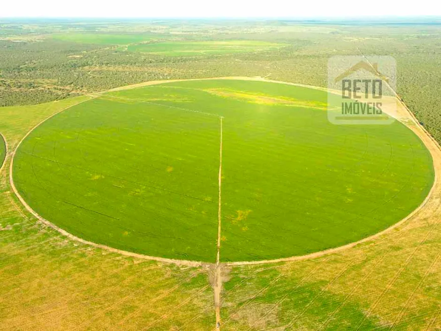 Foto 1 de Fazenda/Sítio à venda, 24200000m² em Zona rural , Peixe