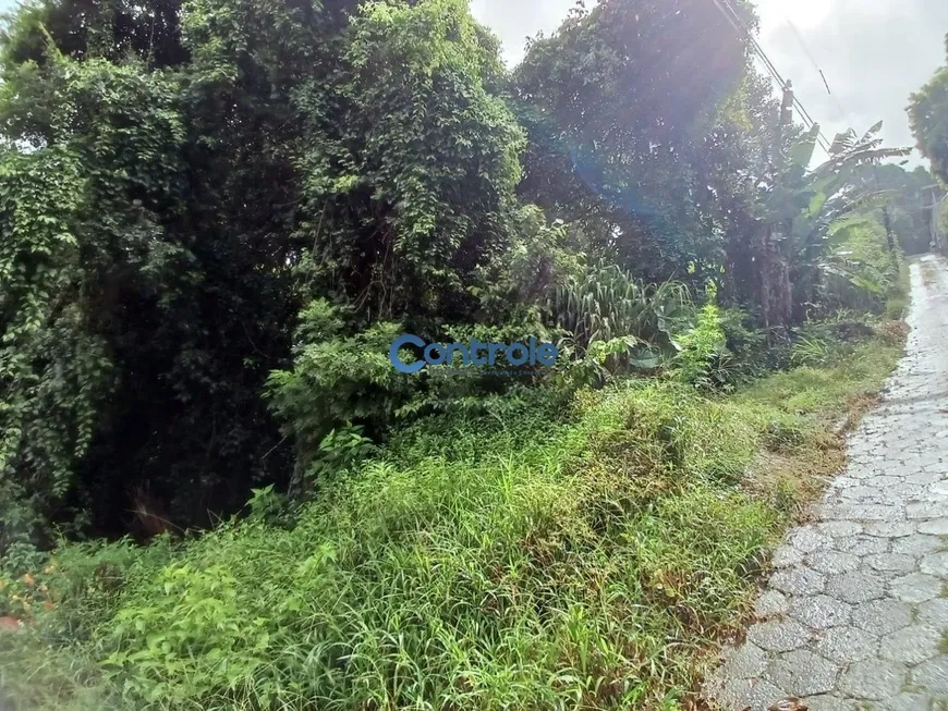 Foto 1 de Lote/Terreno à venda, 9000m² em Saco Grande, Florianópolis