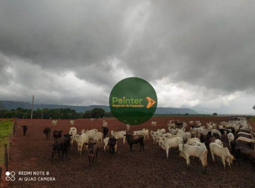 Foto 1 de Fazenda/Sítio à venda, 40950m² em Zona Rural, Goiatins