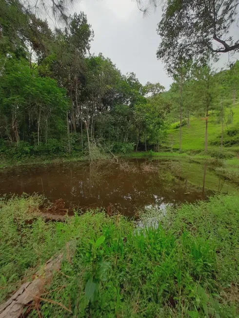 Foto 1 de Fazenda/Sítio à venda, 250000m² em , Antônio Carlos