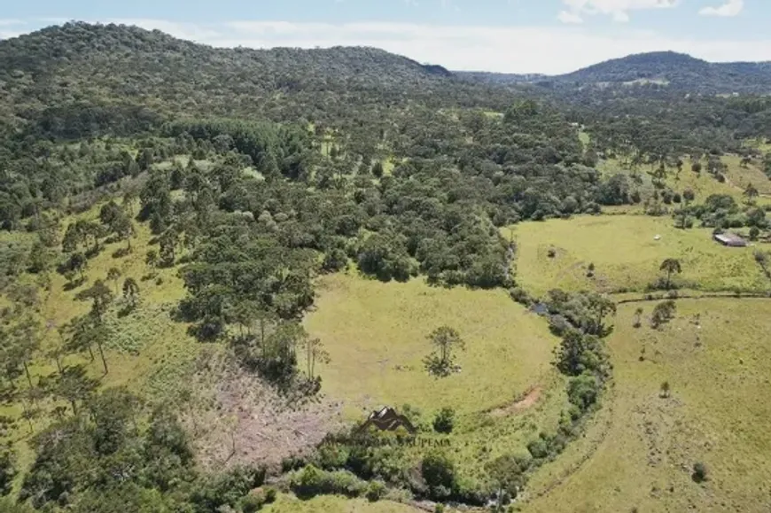 Foto 1 de Fazenda/Sítio à venda em Zona Rural, Painel