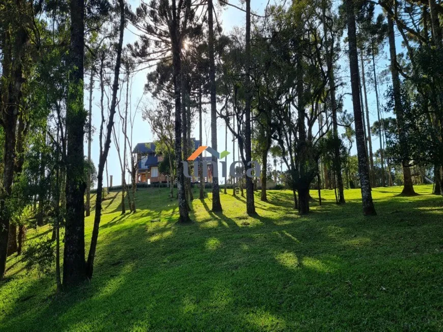 Foto 1 de Fazenda/Sítio com 3 Quartos à venda, 30000m² em , Campo Alegre