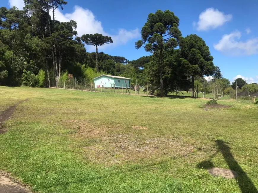 Foto 1 de Lote/Terreno à venda, 1976m² em Centro, Canela