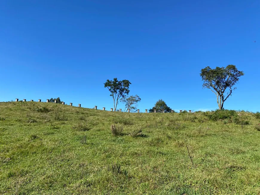 Foto 1 de Lote/Terreno à venda, 20000m² em Rural, Rio Rufino