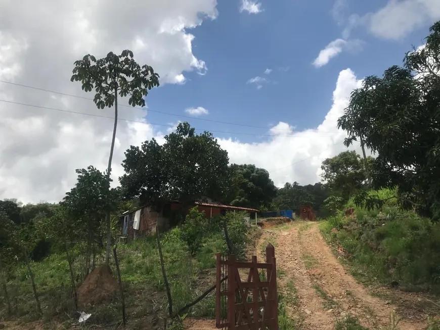 Foto 1 de Fazenda/Sítio com 3 Quartos à venda, 40000m² em São Vicente de Paulo, Vitória de Santo Antão