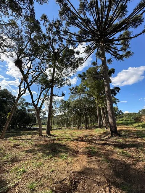 Foto 1 de Fazenda/Sítio à venda, 20000m² em Bateias de Baixo, Campo Alegre