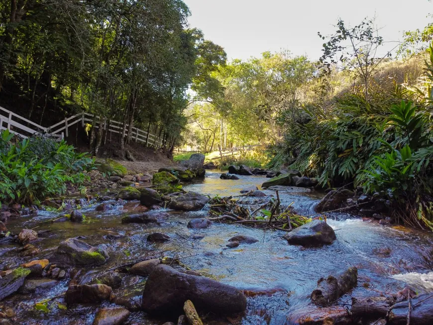 Foto 1 de Fazenda/Sítio com 3 Quartos à venda, 2500m² em Zona Rural, Delfim Moreira