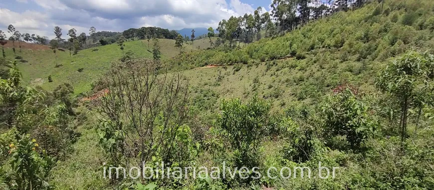 Foto 1 de Lote/Terreno à venda, 78000m² em Zona Rural, Marmelópolis