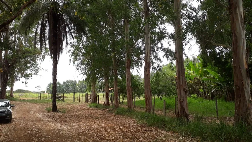 Foto 1 de Lote/Terreno à venda, 20000m² em Centro, Araçaí