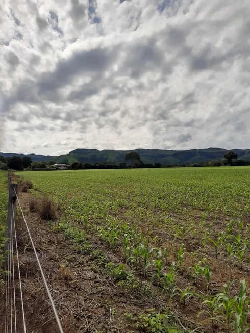 Foto 1 de Fazenda/Sítio com 7 Quartos à venda em , Porto Nacional