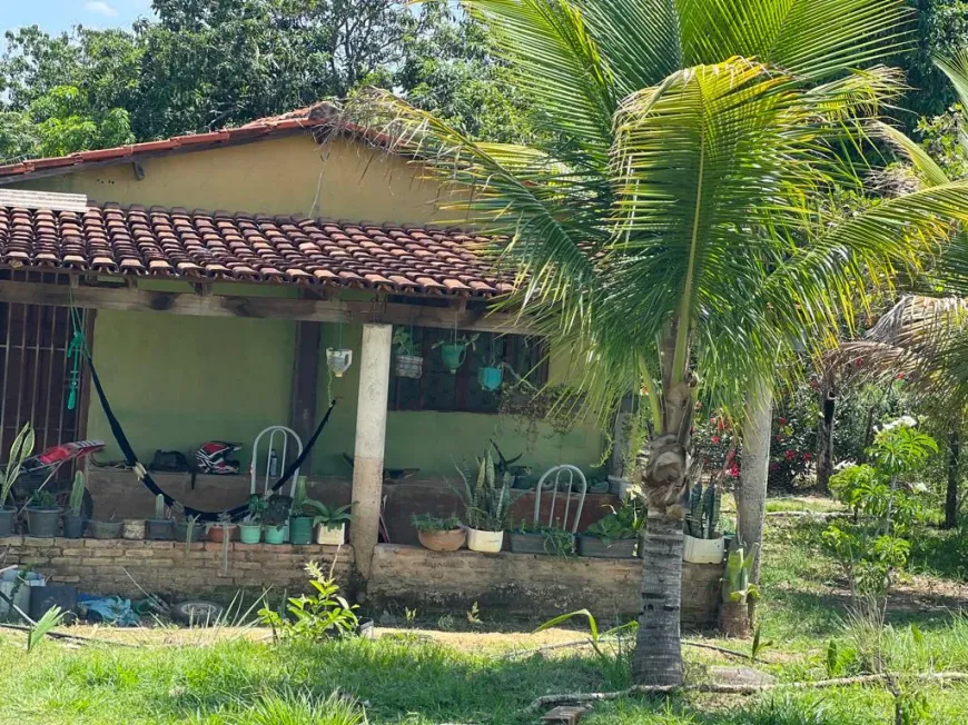 Foto 1 de Fazenda/Sítio com 4 Quartos à venda em Bezerra, Formosa