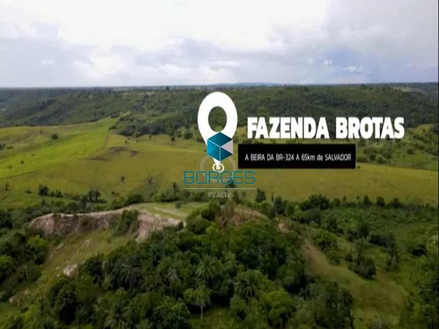 Foto 1 de Fazenda/Sítio com 2 Quartos à venda, 678000m² em , Conceição do Jacuípe