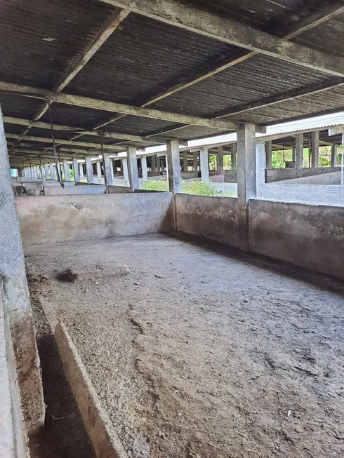 Foto 1 de Fazenda/Sítio com 3 Quartos à venda, 5000m² em Centro, Macaíba