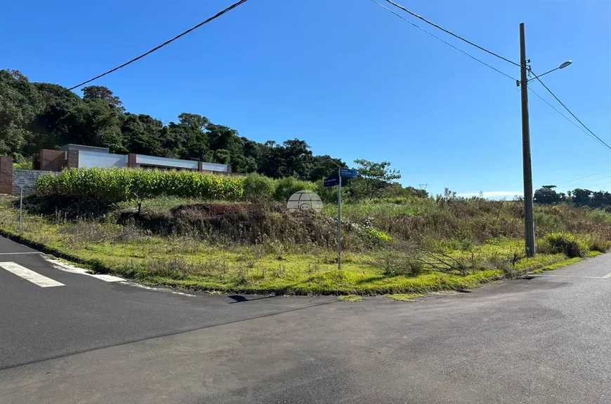 Foto 1 de Lote/Terreno à venda, 472m² em Sao Luiz, Pato Branco