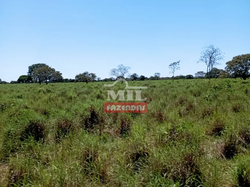 Foto 1 de Fazenda/Sítio à venda em Zona Rural, Pium