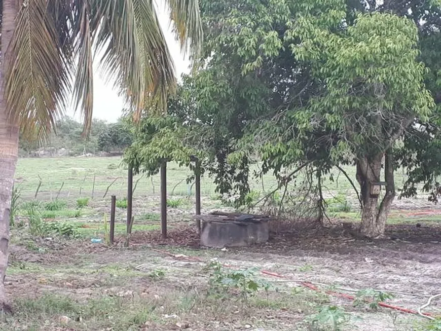 Foto 1 de Fazenda/Sítio com 3 Quartos à venda, 27000m² em Trairas, Macaíba