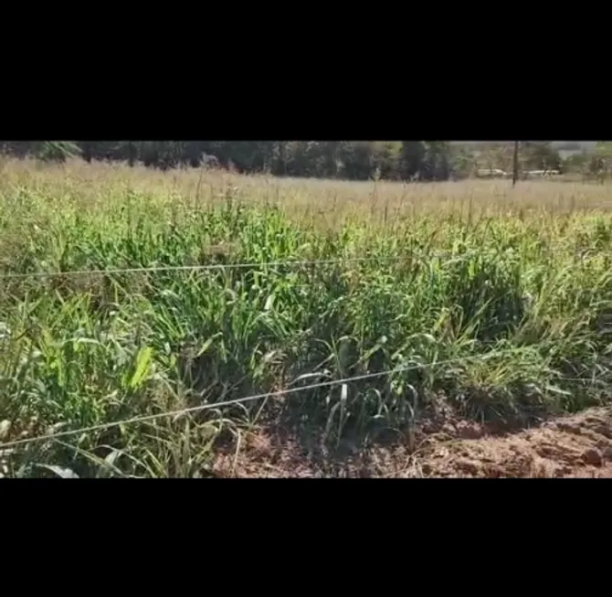 Foto 1 de Fazenda/Sítio à venda em Zona Rural, Buritis