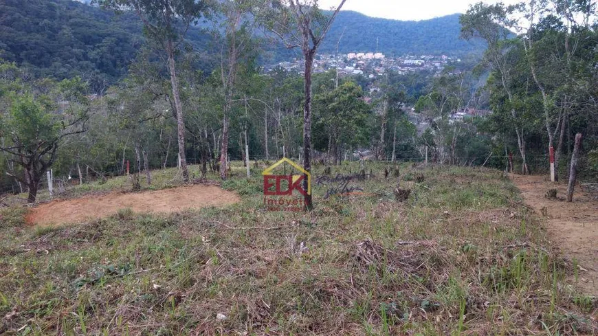 Foto 1 de Lote/Terreno à venda, 8949m² em Ipiranguinha, Ubatuba