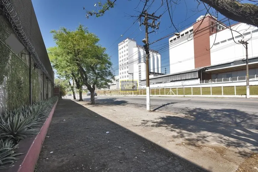 Foto 1 de Galpão/Depósito/Armazém para alugar, 1361m² em Jaguaré, São Paulo