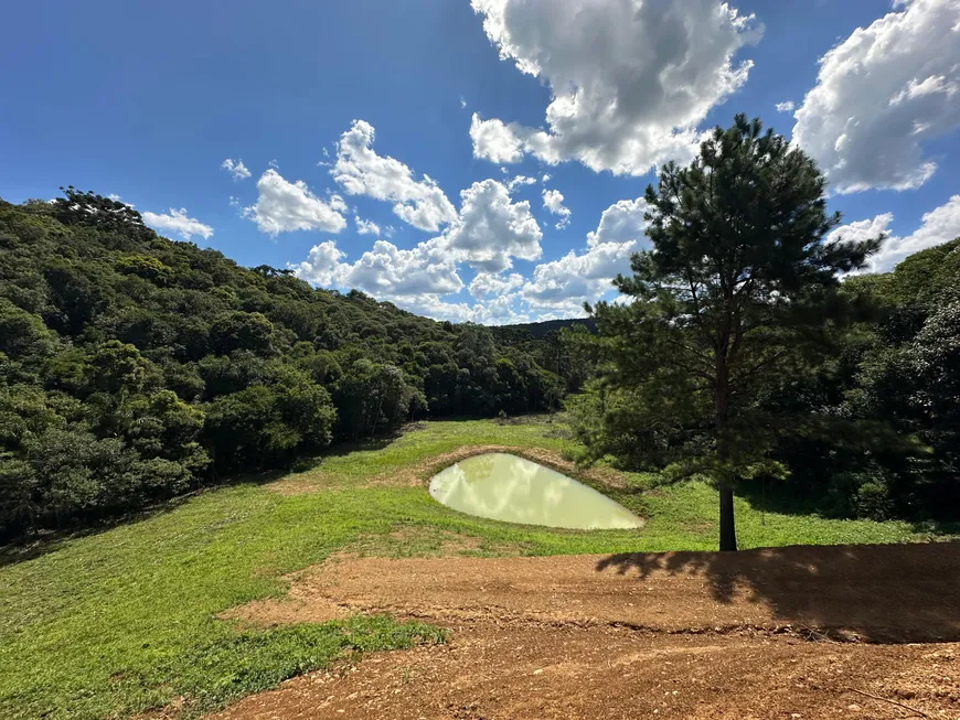 Foto 1 de Fazenda/Sítio à venda, 20000m² em Saltinho, Campo Alegre