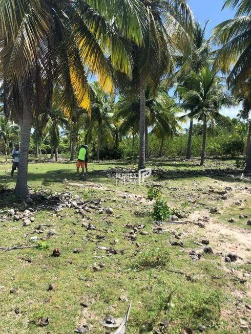 Foto 1 de Lote/Terreno à venda, 2294m² em Zona Rural, Barreirinhas