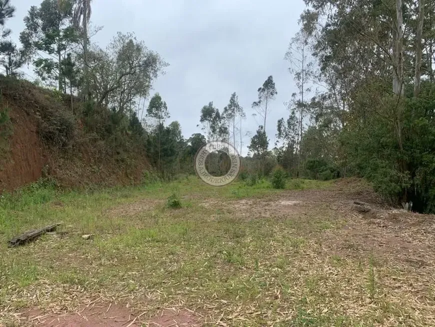 Foto 1 de Lote/Terreno à venda, 2000m² em Pavão-Canguera, São Roque