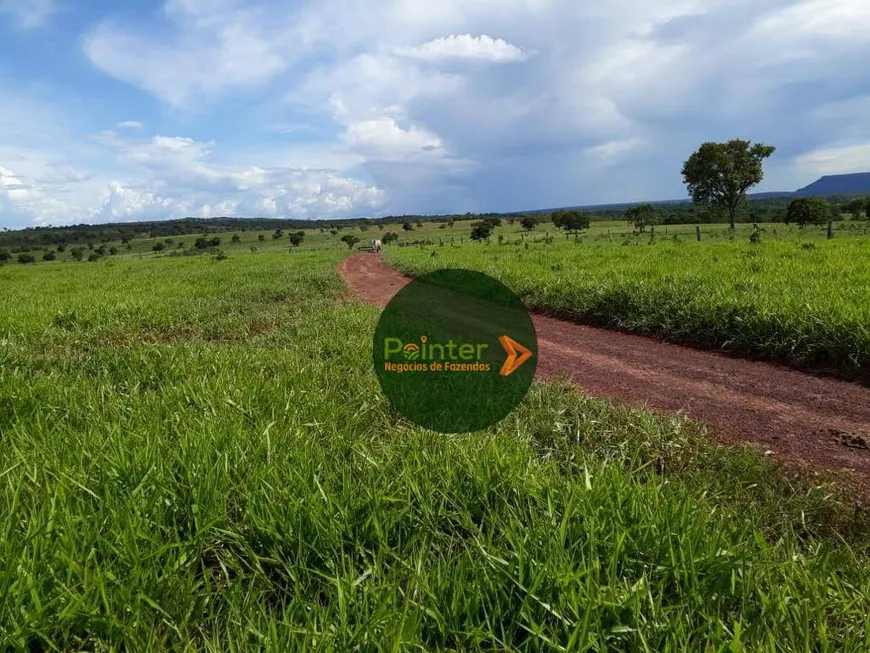 Foto 1 de Fazenda/Sítio com 3 Quartos à venda, 7405200m² em Zona Rural, Pontal do Araguaia