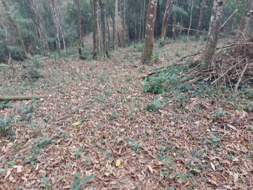 Foto 1 de Lote/Terreno à venda, 2943m² em Planalto Verde, São Roque