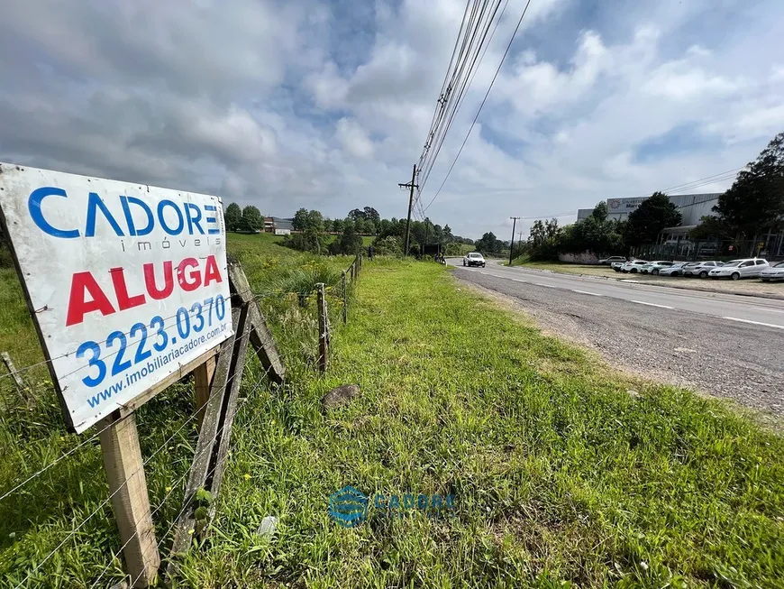 Foto 1 de Lote/Terreno para alugar, 1000m² em São Ciro, Caxias do Sul